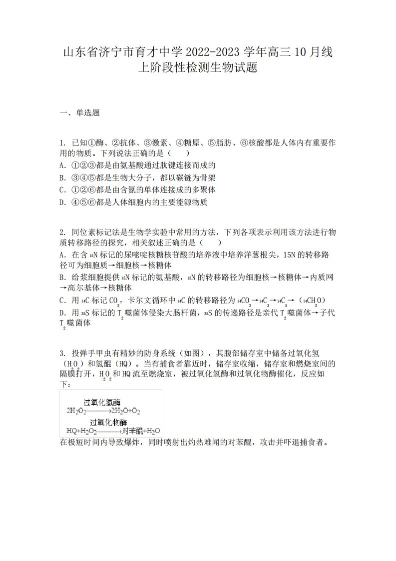 山东省济宁市育才中学2024-2023学年高三10月线上阶段性检测生物试题