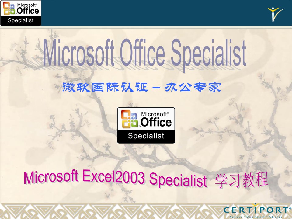 OPMOSExcel2003Specialist培训教材JackyEric20070318