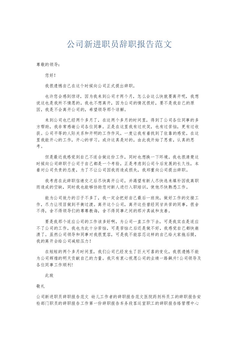 总结报告公司新进职员辞职报告范文