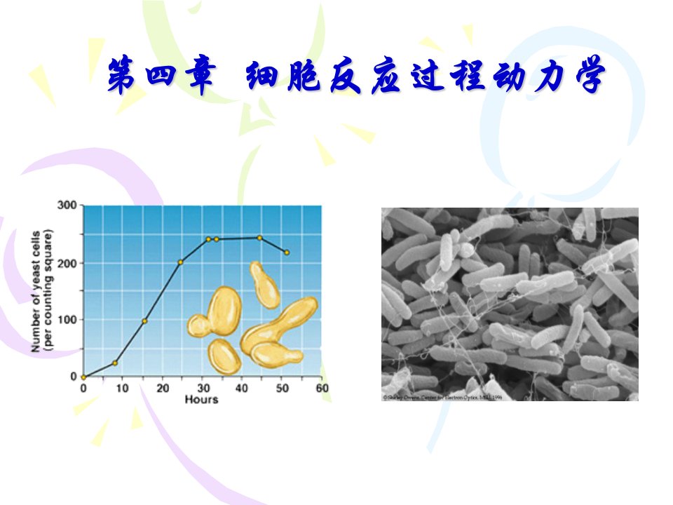 细胞反应动力学(CN