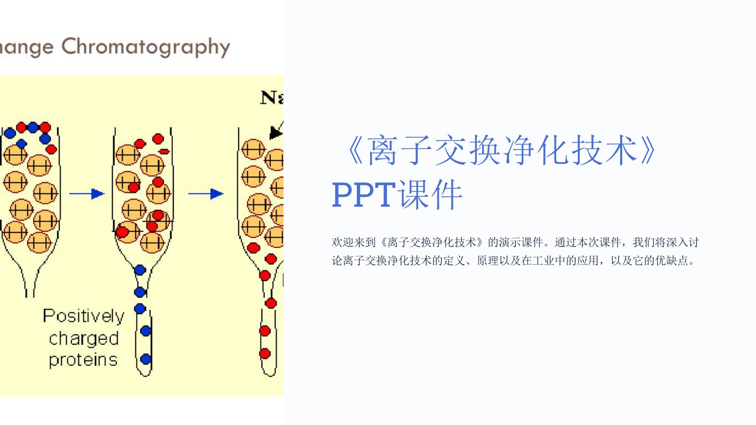 《离子交换净化技术》课件