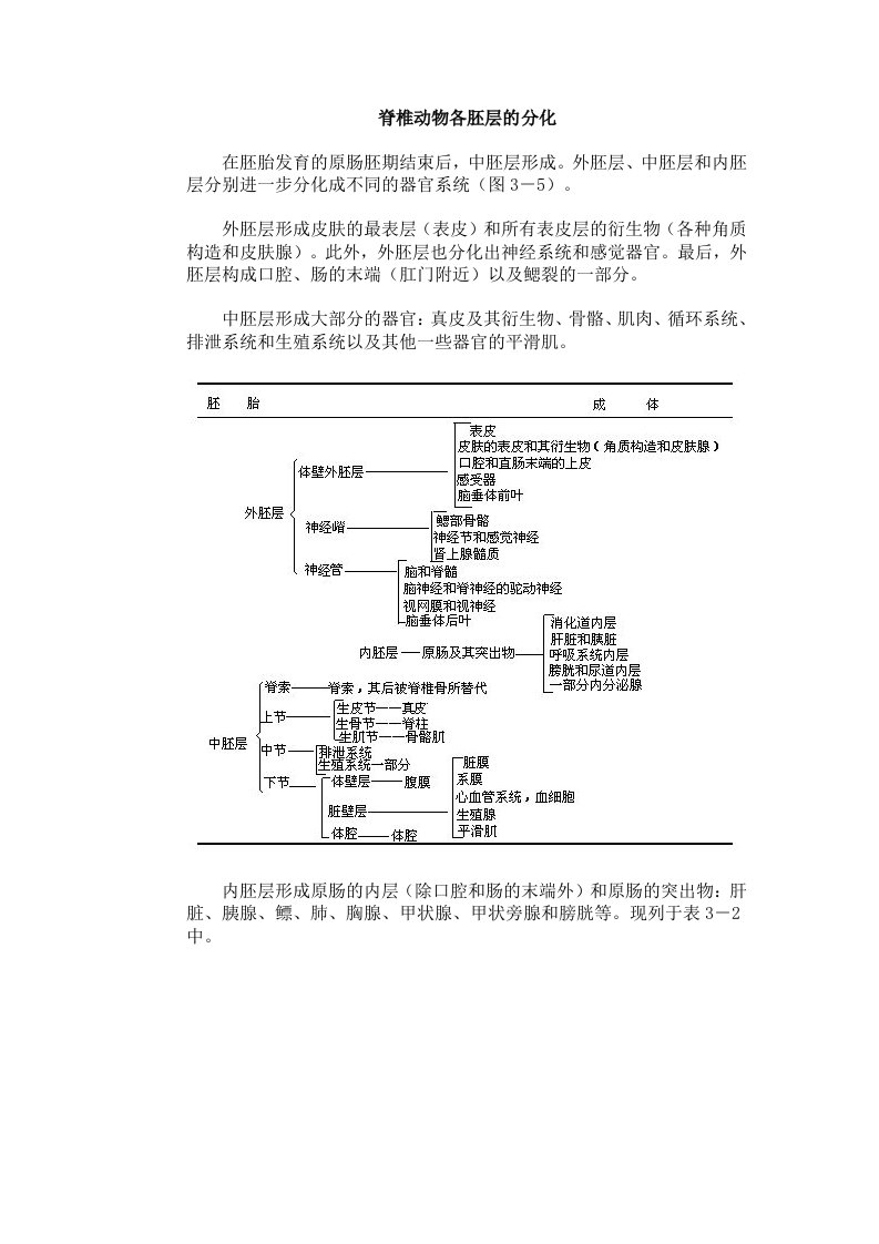 脊椎动物各胚层的分化