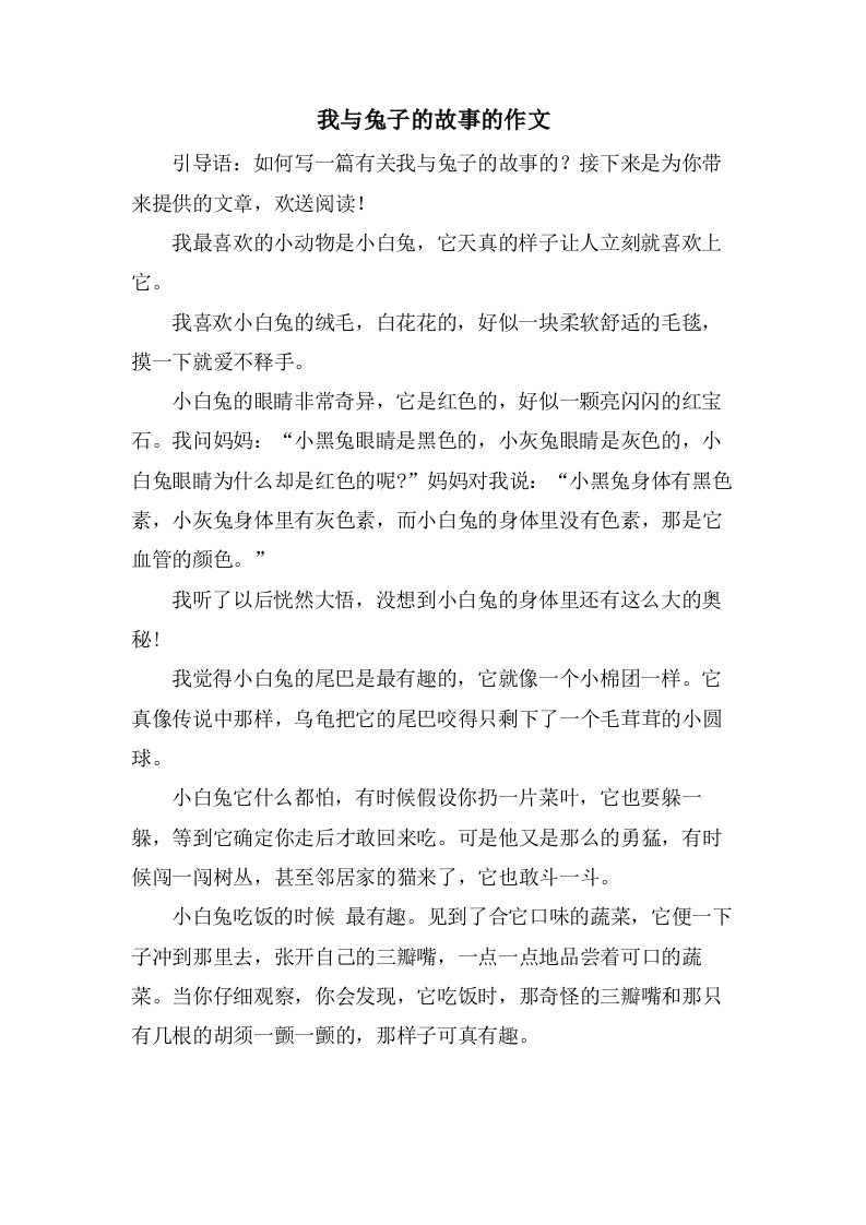 我与兔子的故事的作文