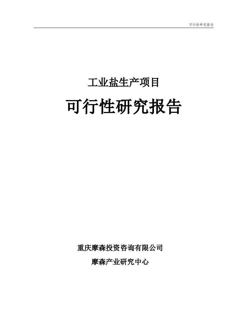 工业盐项目可行性研究报告