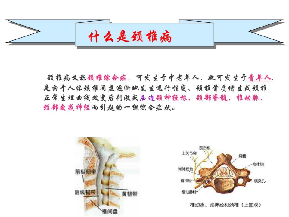 颈椎病康复精彩课件