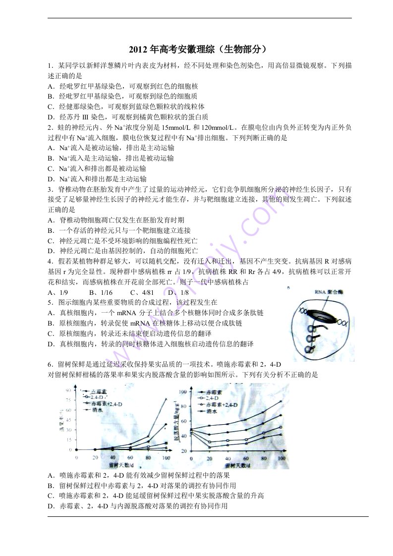 2012安徽省高考理科综合生物部分