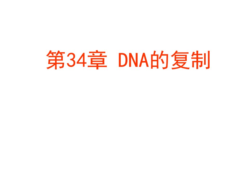 第34章DNA的复制-2