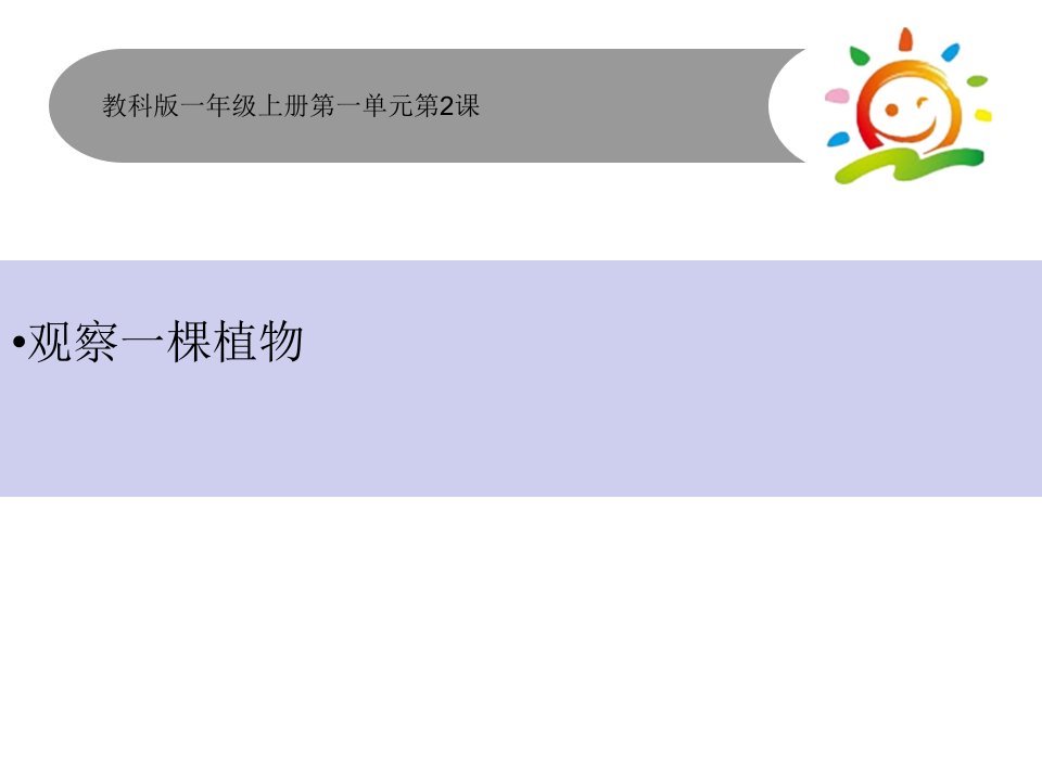 科学教科版一年级上1.2观察一棵植物