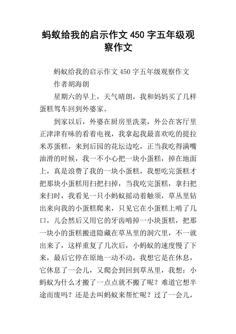 蚂蚁给我的启示作文450字五年级观察作文