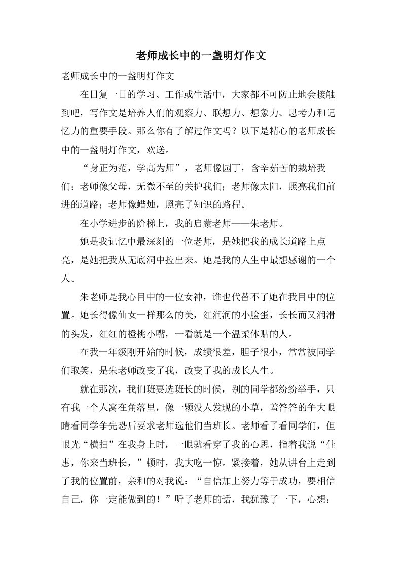 老师成长中的一盏明灯作文