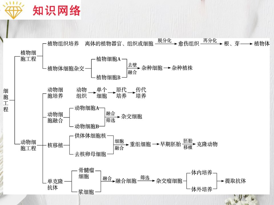 专题4细胞工程