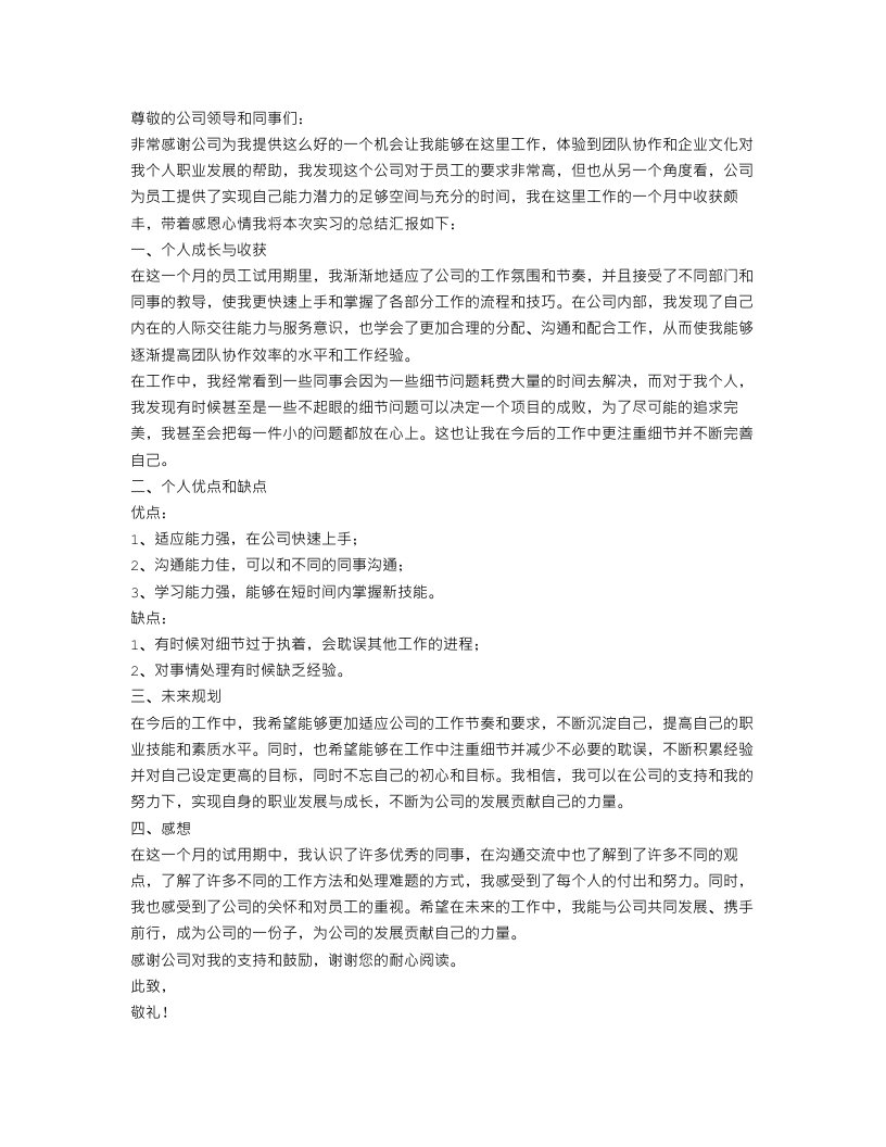 公司新员工试用期个人总结