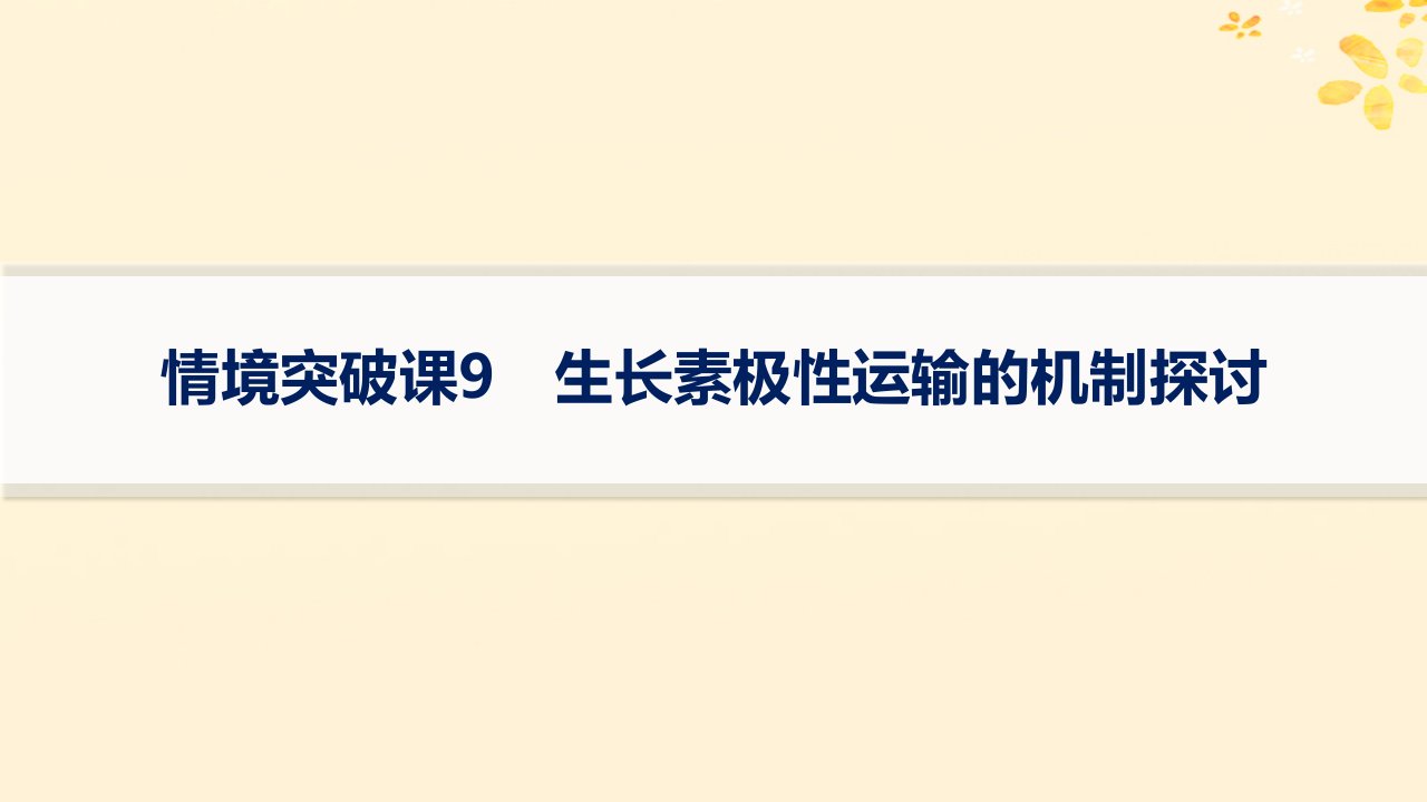 适用于新高考新教材备战2025届高考生物一轮总复习第8单元稳态与调节情境突破课9生长素极性运输的机制探讨课件