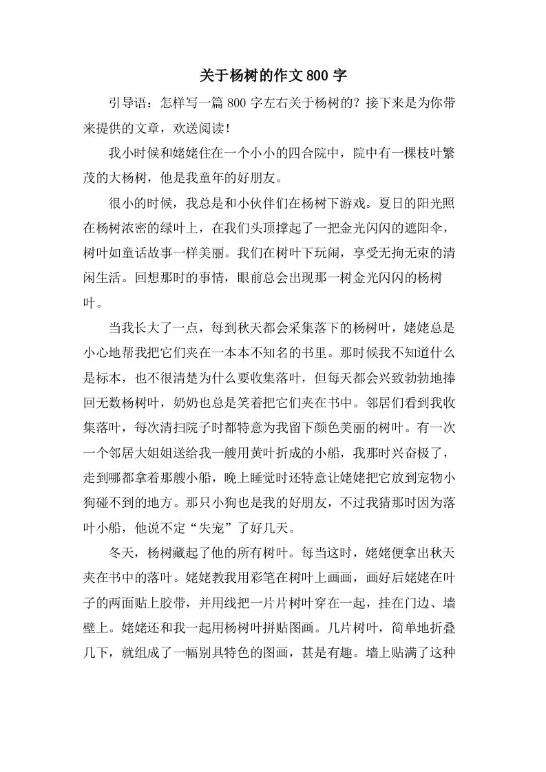 关于杨树的作文800字