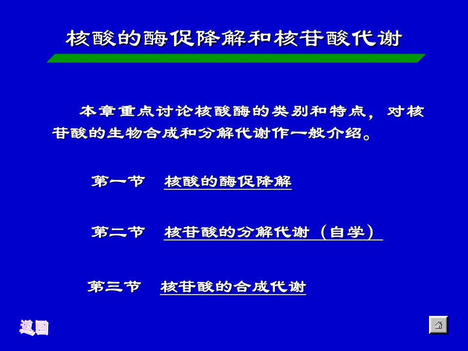 第八章核酸的酶促降解和核苷酸代谢