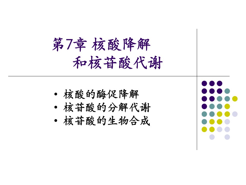 核酸降解与苷酸代谢