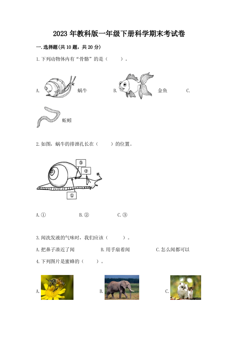 2023年教科版一年级下册科学期末考试卷（a卷）