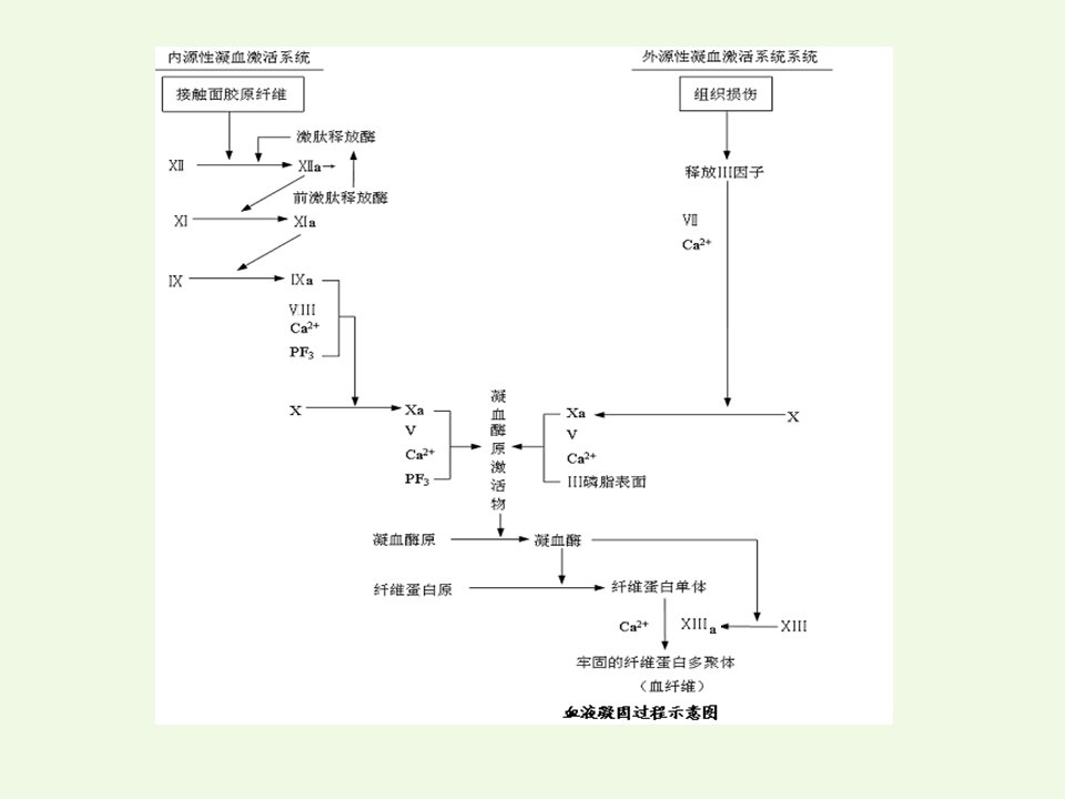 影响血液及造血系统的药物药理学