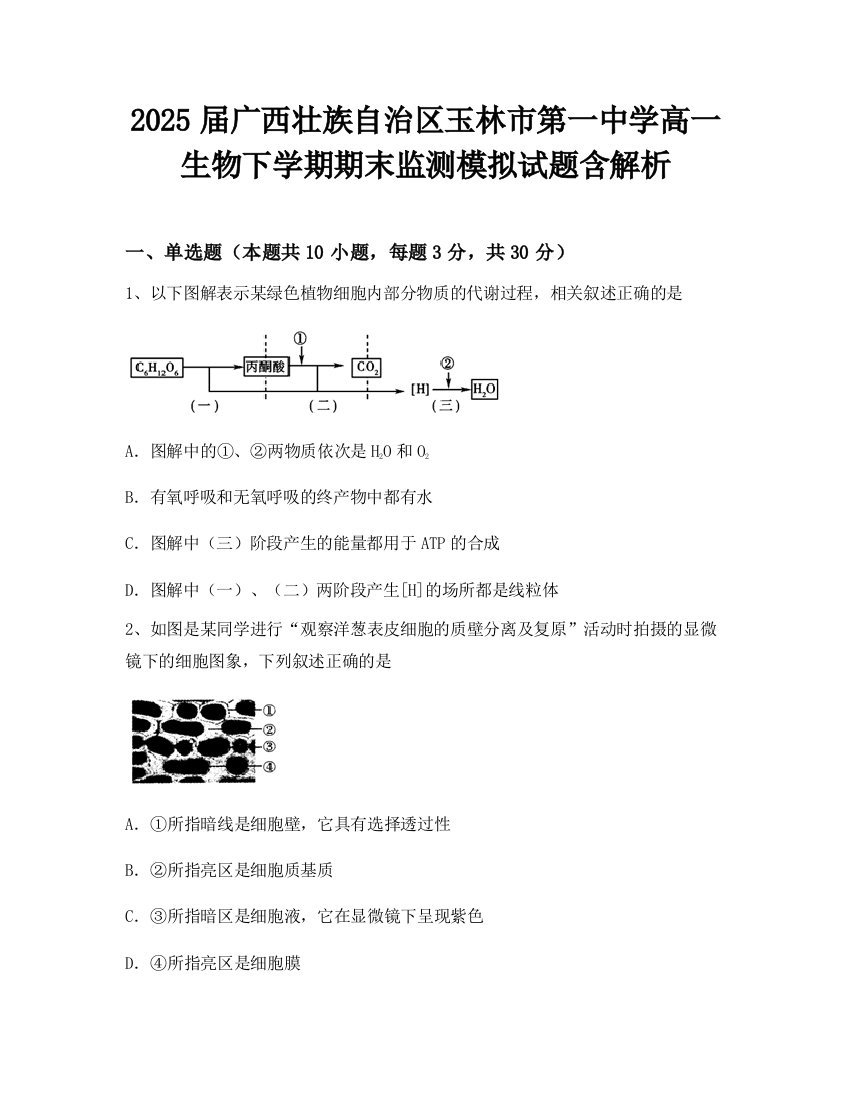 2025届广西壮族自治区玉林市第一中学高一生物下学期期末监测模拟试题含解析