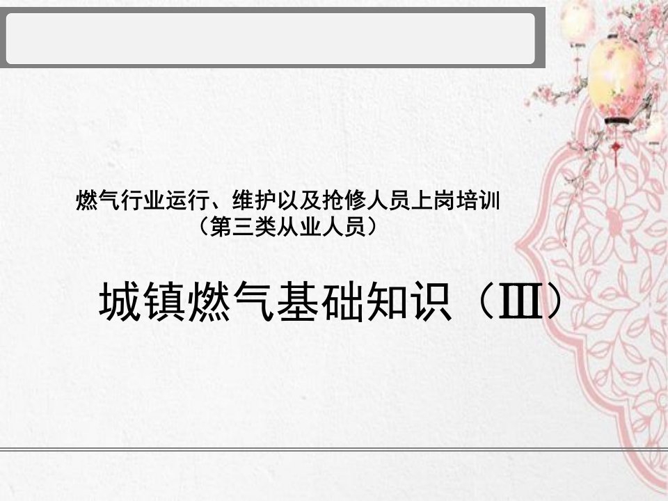 燃气行业运行、维护以及抢修人员上岗培训（第三类从业人员）城镇燃气基础知识