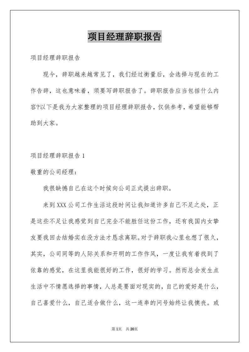 项目经理辞职报告例文5