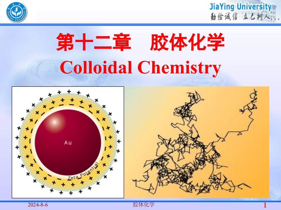 天津大学《物理化学》第12章胶体化学