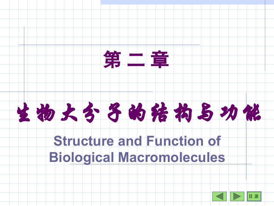 生物医学概论生化生物大分子课件