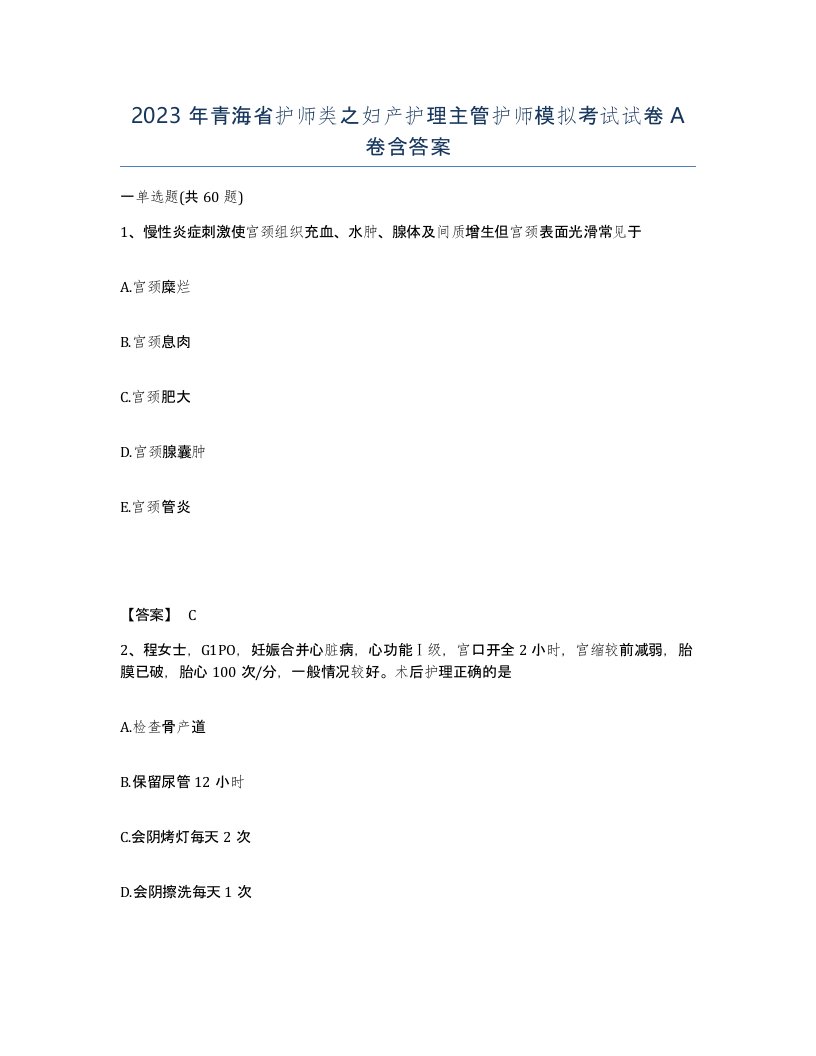 2023年青海省护师类之妇产护理主管护师模拟考试试卷A卷含答案