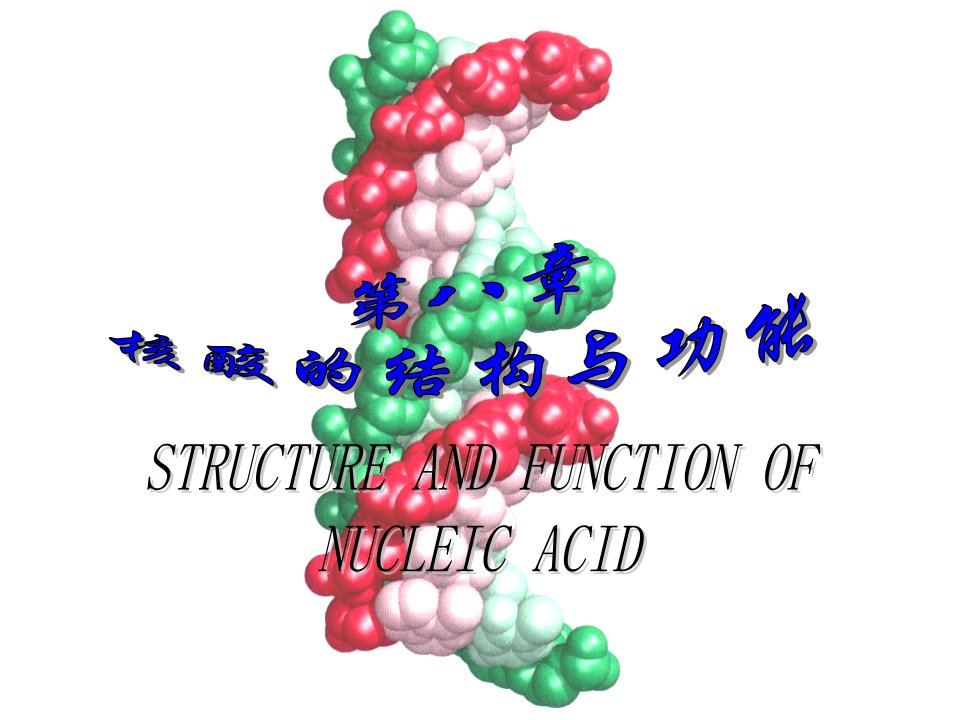 核酸的化学组成课件