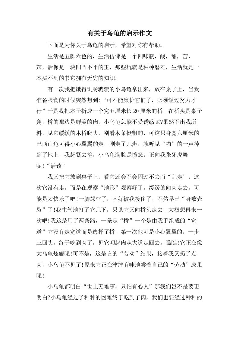 有关于乌龟的启示作文