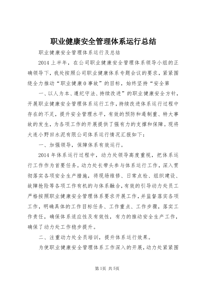 职业健康安全管理体系运行总结