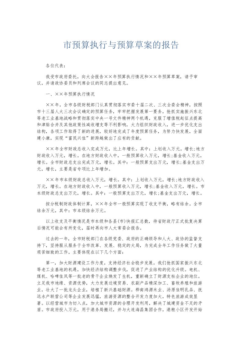 总结报告市预算执行与预算草案的报告