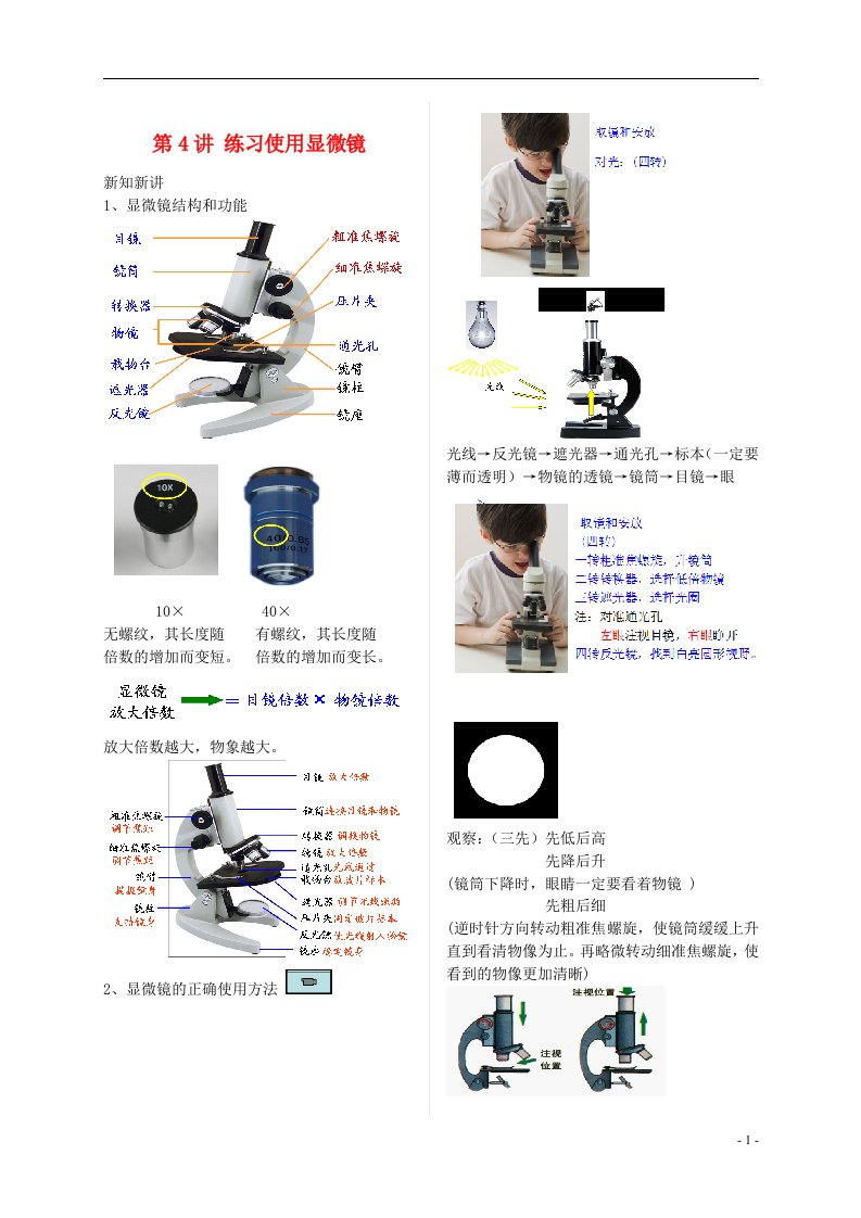 江苏省大丰市七年级生物上册