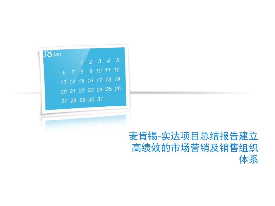 麦肯锡-实达项目总结报告建立高绩效的市场营销及销售组织体系