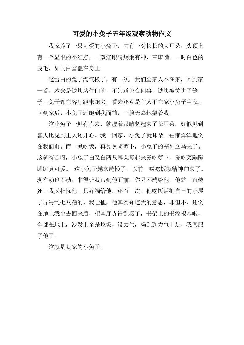 可爱的小兔子五年级观察动物作文