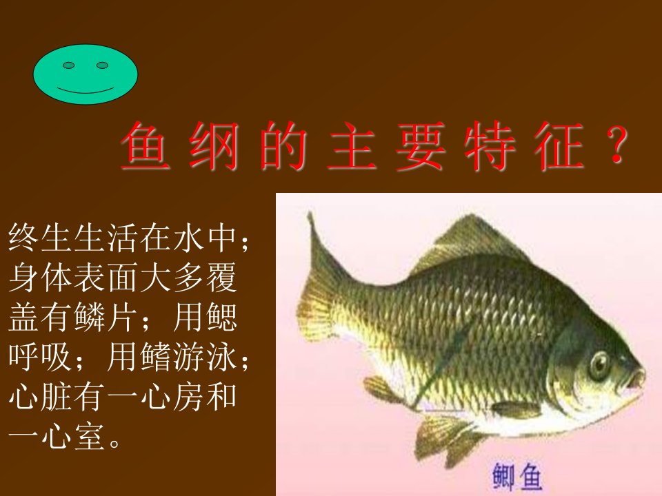 九年级生物鱼纲的主要特征