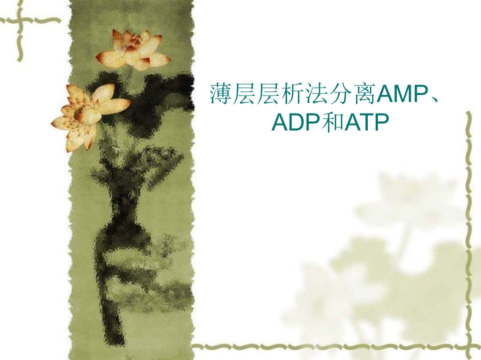 薄层层析法分离AMP