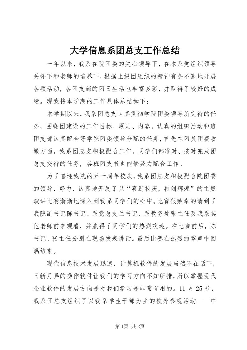 大学信息系团总支工作总结