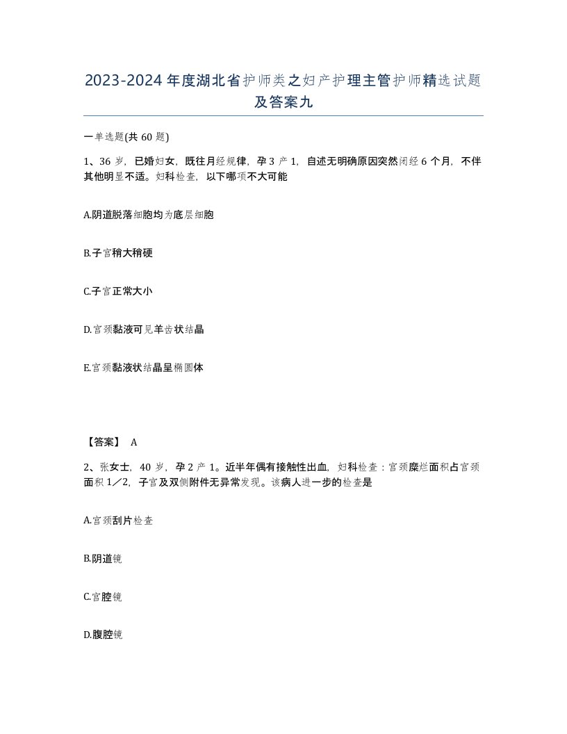 2023-2024年度湖北省护师类之妇产护理主管护师试题及答案九