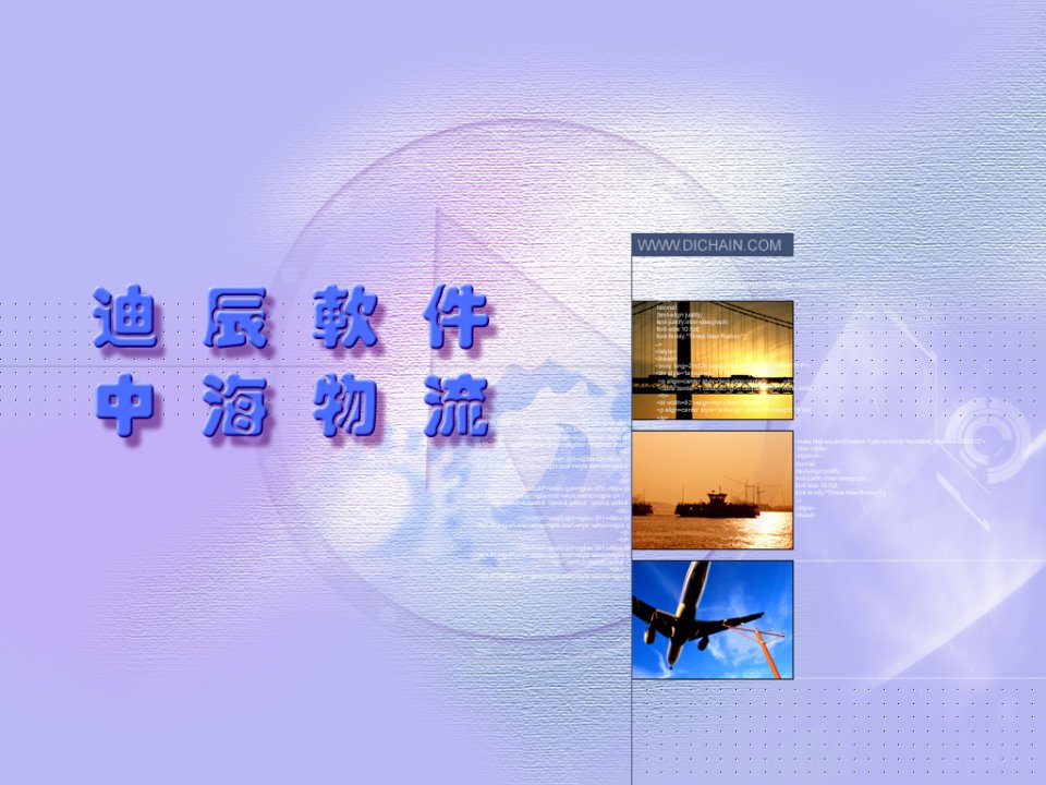 某著名咨询公司-中海物流-迪辰物流系统报告