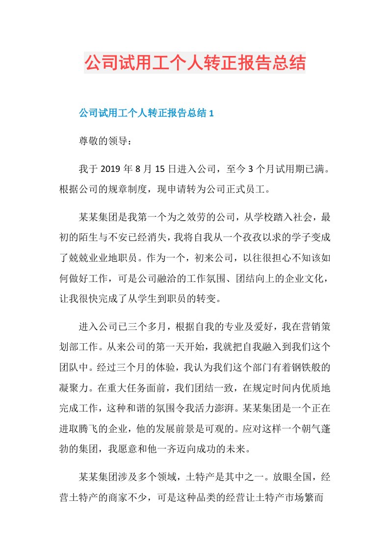 公司试用工个人转正报告总结