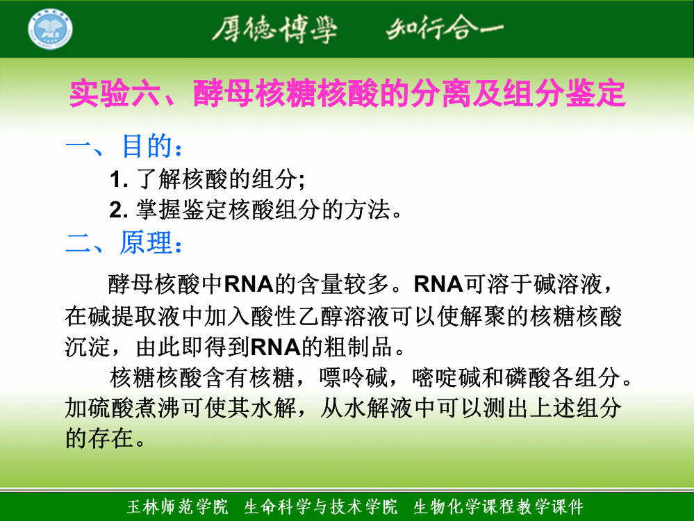 6--酵母核糖核酸的分离及组分鉴定