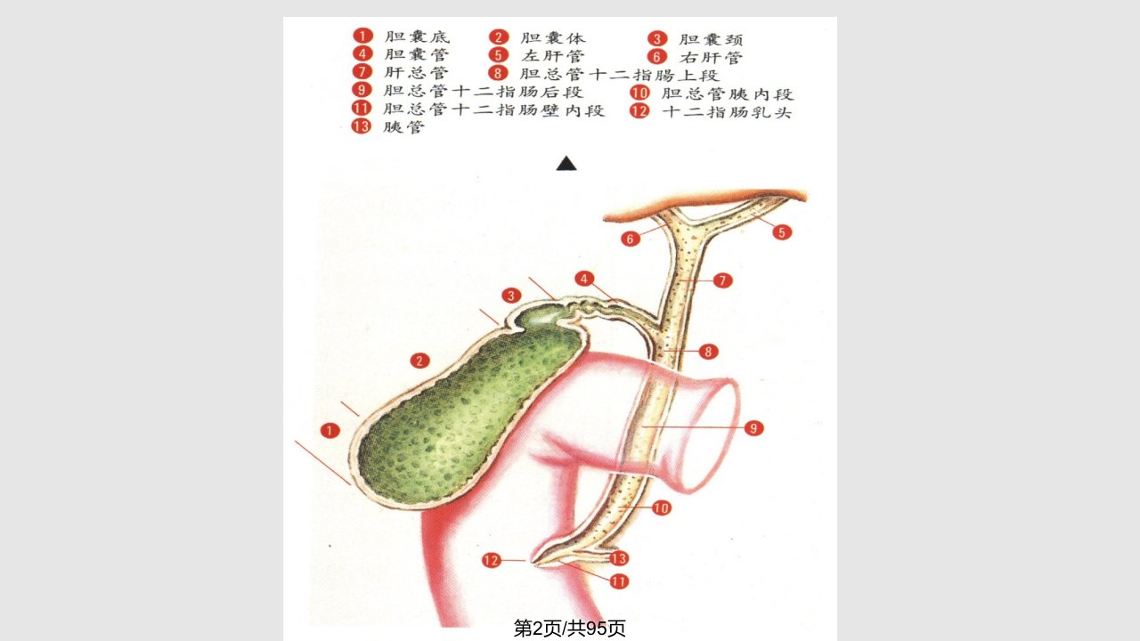 胆囊炎病例分析