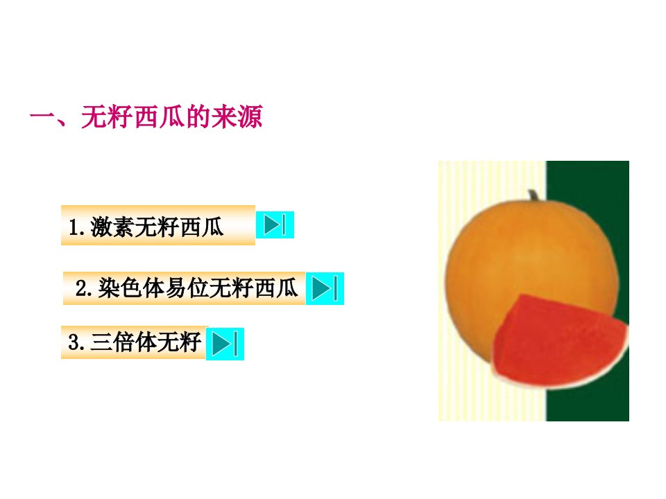 最新四章西瓜主要病虫害防治精品课件