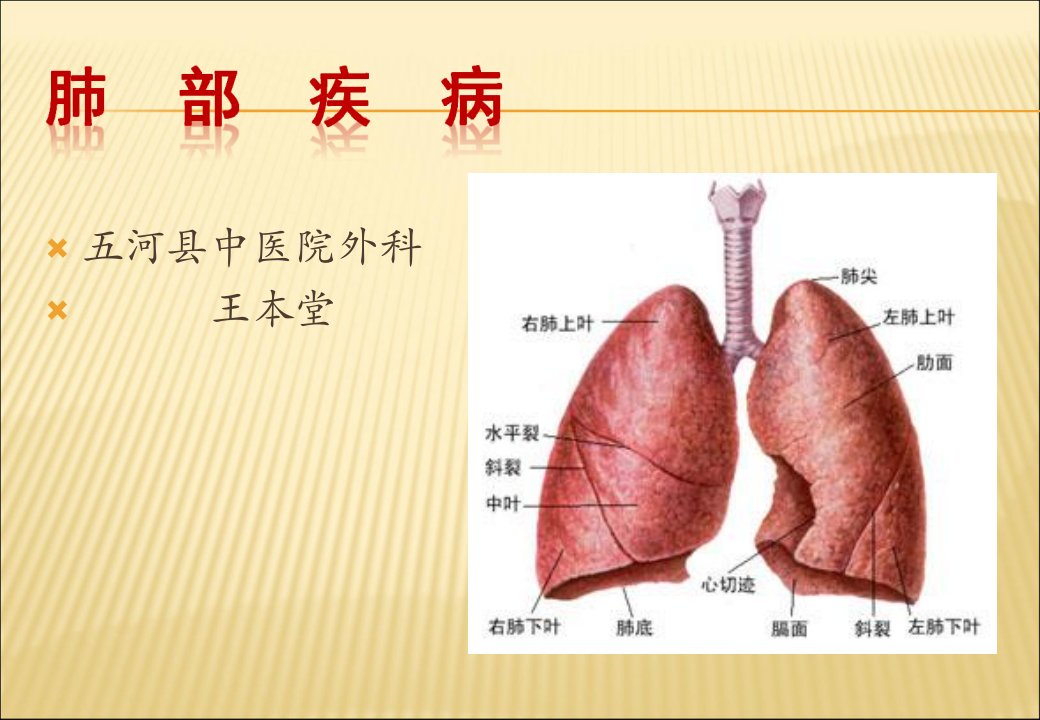 肺部疾病