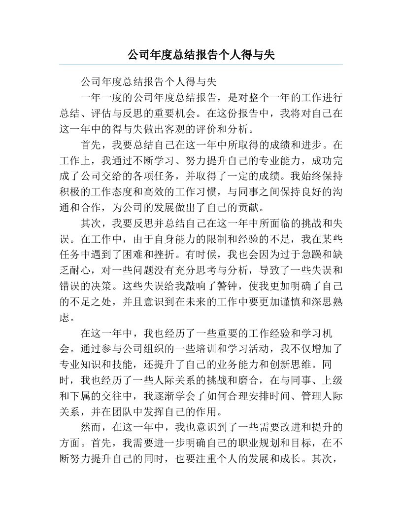 公司年度总结报告个人得与失