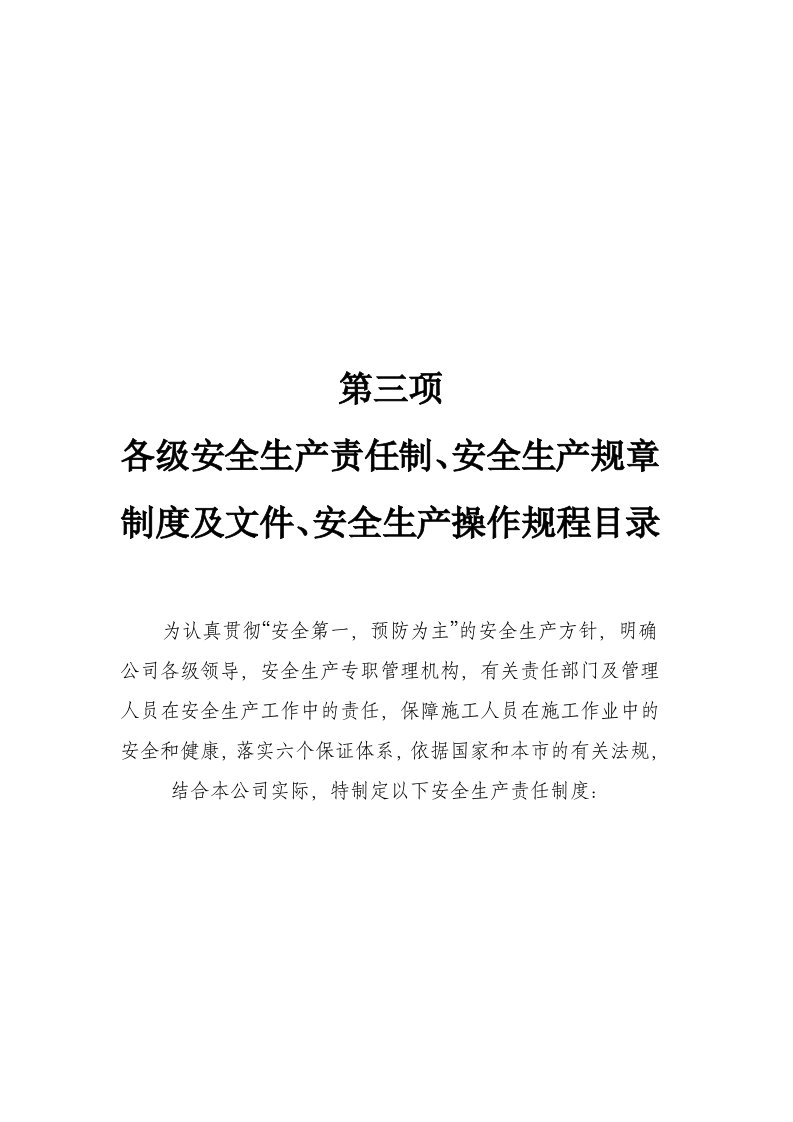 公司各级安全生产责任制安全生产规章制度及文件安全生产操作规程目录