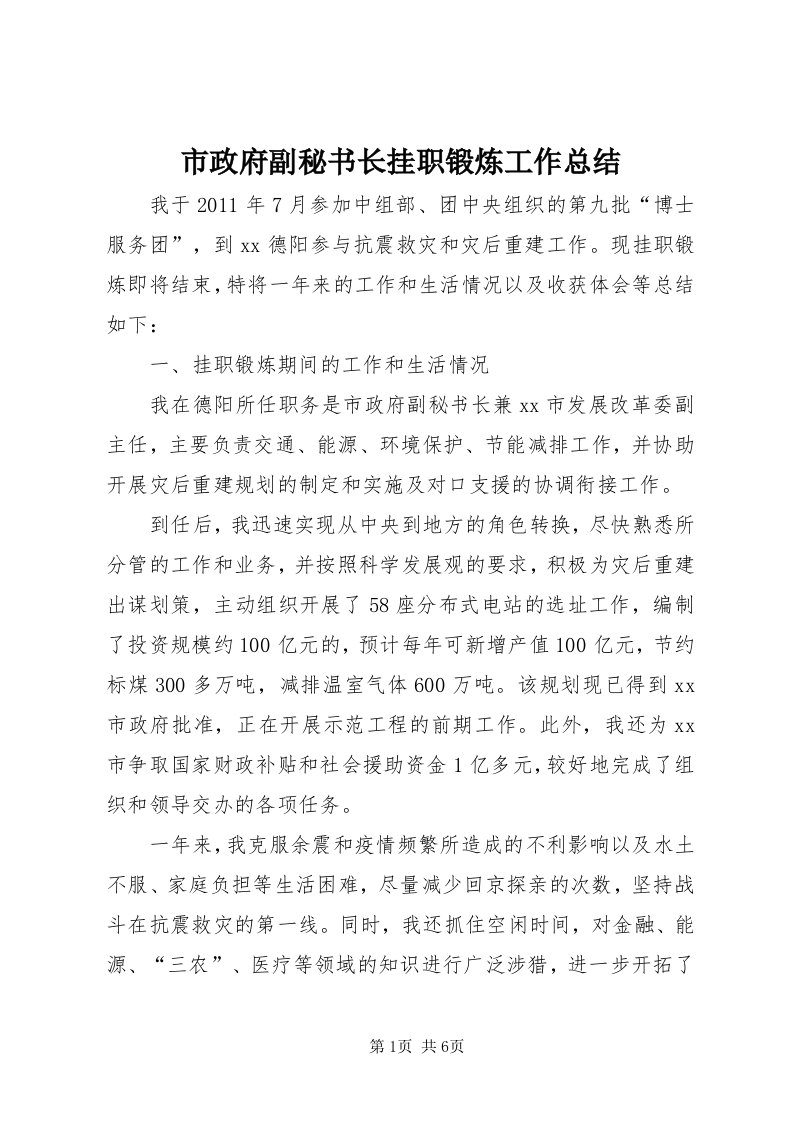 6市政府副秘书长挂职锻炼工作总结