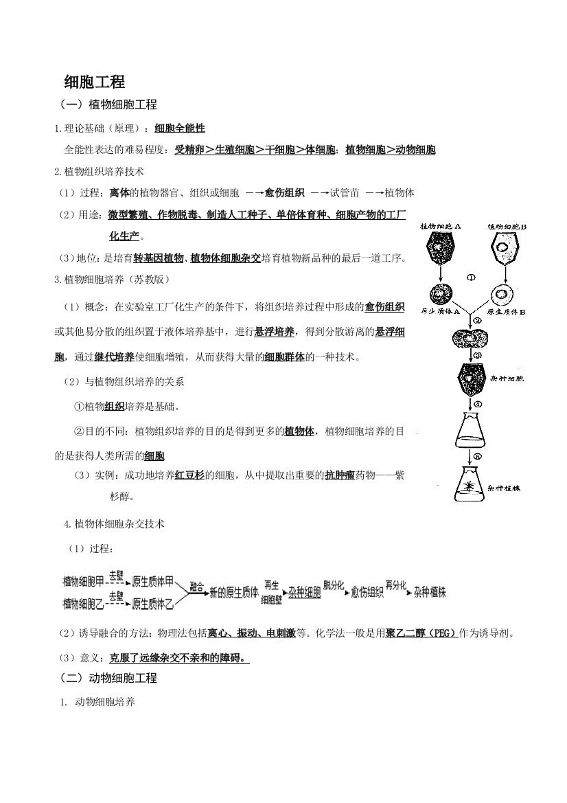 选修3细胞工程（基础知识过关）》