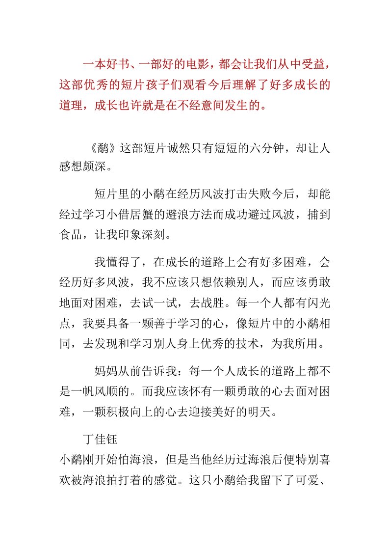 《鹬》观后有感想